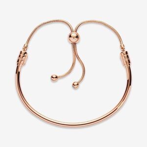 Pandora  Flower Stem Slider Bracelet